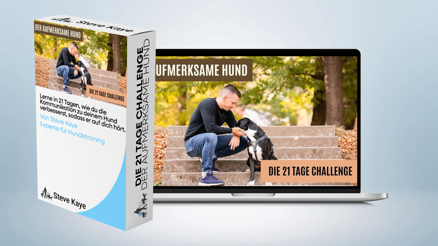 Die 21 Tage Challenge "Der aufmerksame Hund"