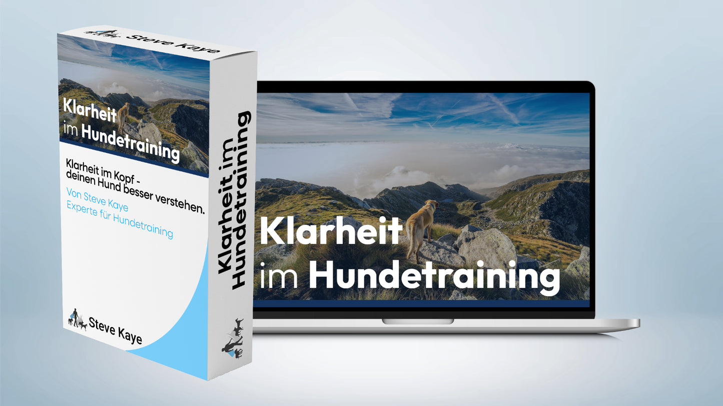Komplettpaket: Rundum-Sorglos