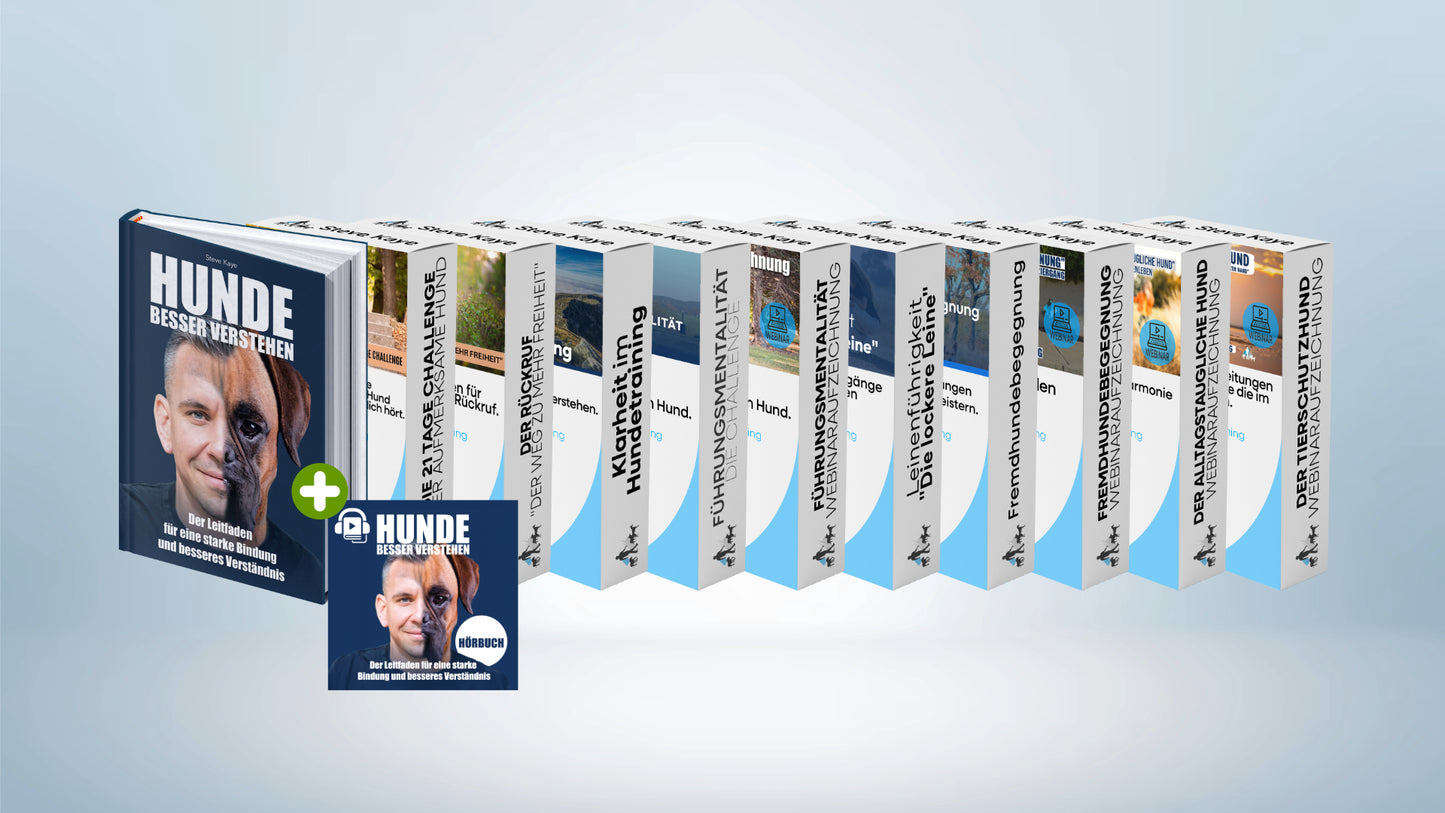 Komplettpaket: Rundum-Sorglos
