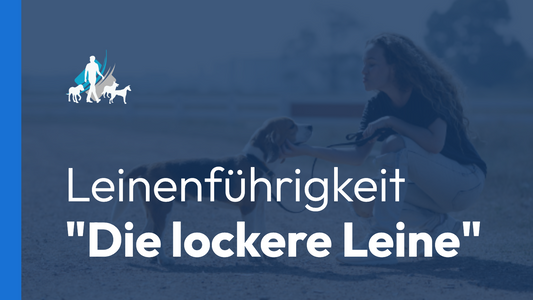 Leinenführigkeit "Die lockere Leine"