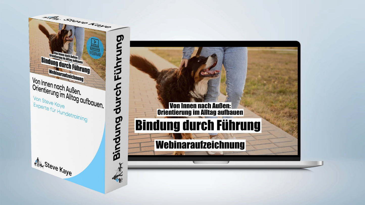 Aufzeichnung - Live Webinar: Bindung durch Führung