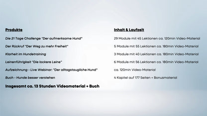 Der alltagstaugliche Hund - Entspannt zusammen leben