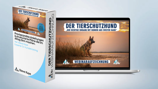 Aufzeichnung - Live Webinar: Der Tierschutzhund