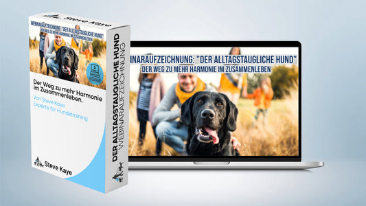 Aufzeichnung - Live Webinar: "Der alltagstaugliche Hund"