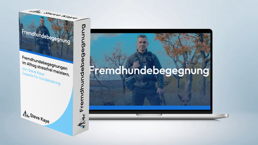 Fremdhundebegegnung - Hundebegegnung entspannt meistern