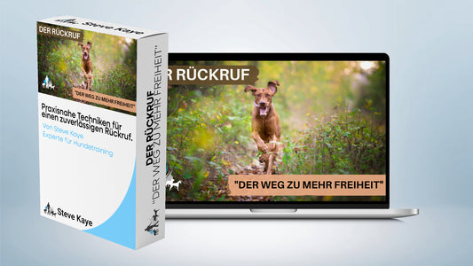 Der Rückruf "Der Weg zu mehr Freiheit"