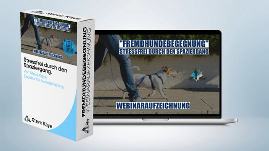 Aufzeichnung - Live Webinar: "Fremdhundebegegnung"