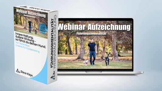 Aufzeichnung - Live Webinar: "Führungsmentalität"