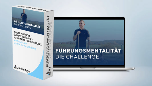 Führungsmentalität - Die Challenge