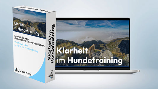 Klarheit im Hundetraining