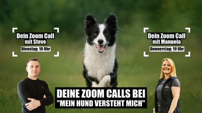 Deine Zoom Calls bei "Mein Hund versteht mich"