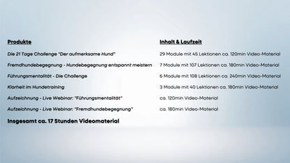 Entspannte Hundebegegnungen  – sicher, ruhig, konfliktfrei.