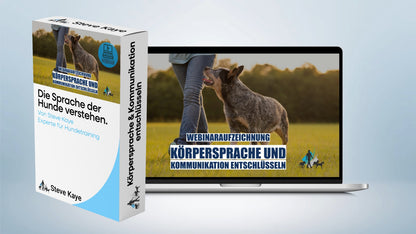 Aufzeichnung - Live Webinar: Körpersprache & Kommunikation