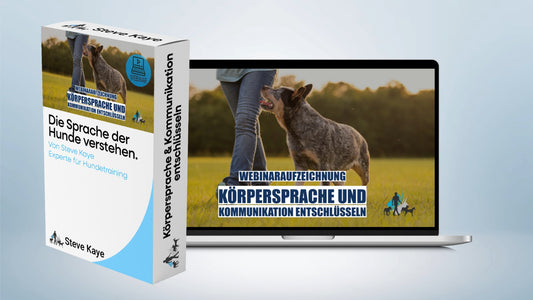 Aufzeichnung - Live Webinar: Körpersprache & Kommunikation
