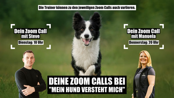 Deine Zoom Calls bei "Mein Hund versteht mich"