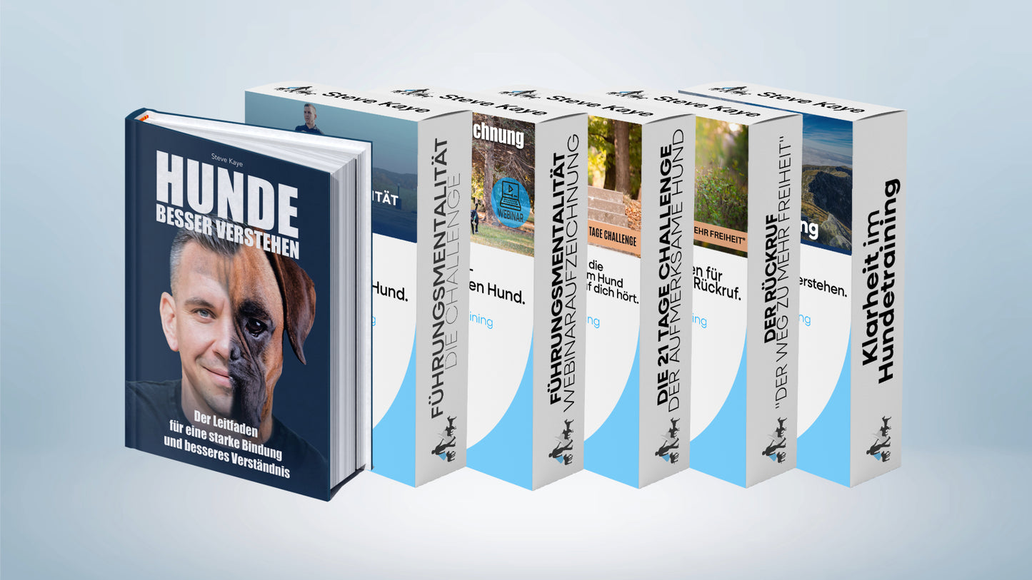 Führung beginnt in dir. Innere Stärke - äußere Klarheit.