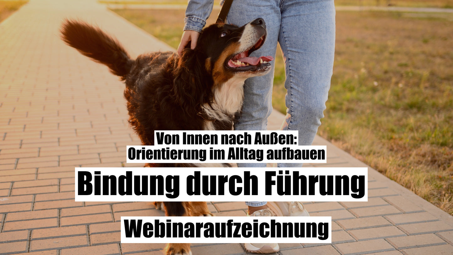 Aufzeichnung - Live Webinar: Bindung durch Führung