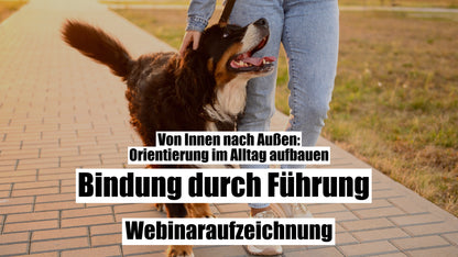 Aufzeichnung - Live Webinar: Bindung durch Führung