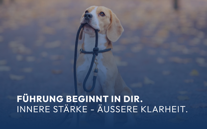 Führung beginnt in dir. Innere Stärke - äußere Klarheit.