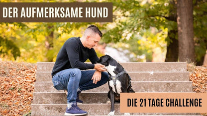 Die 21 Tage Challenge "Der aufmerksame Hund"