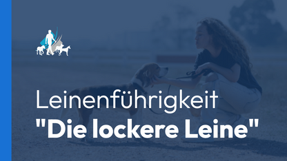 Leinenführigkeit "Die lockere Leine"